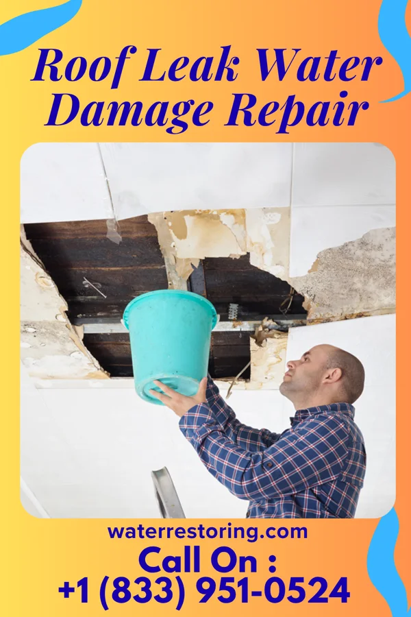 Roof Leak Water Damage Repair in Coaling, AL